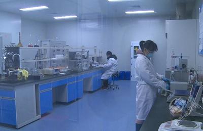 协商在一线 | 市政协调研支持中小企业提升研发能力工作 技术服务与技术成果转让的协同路径