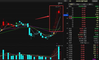 隆平高科 技术服务与技术成果转让领域的明日之星